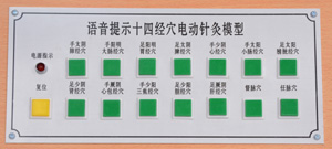 模型控制按钮面板