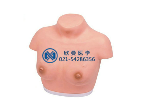 高级乳腺视诊与触诊模型